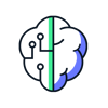 Brain