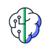 Brain