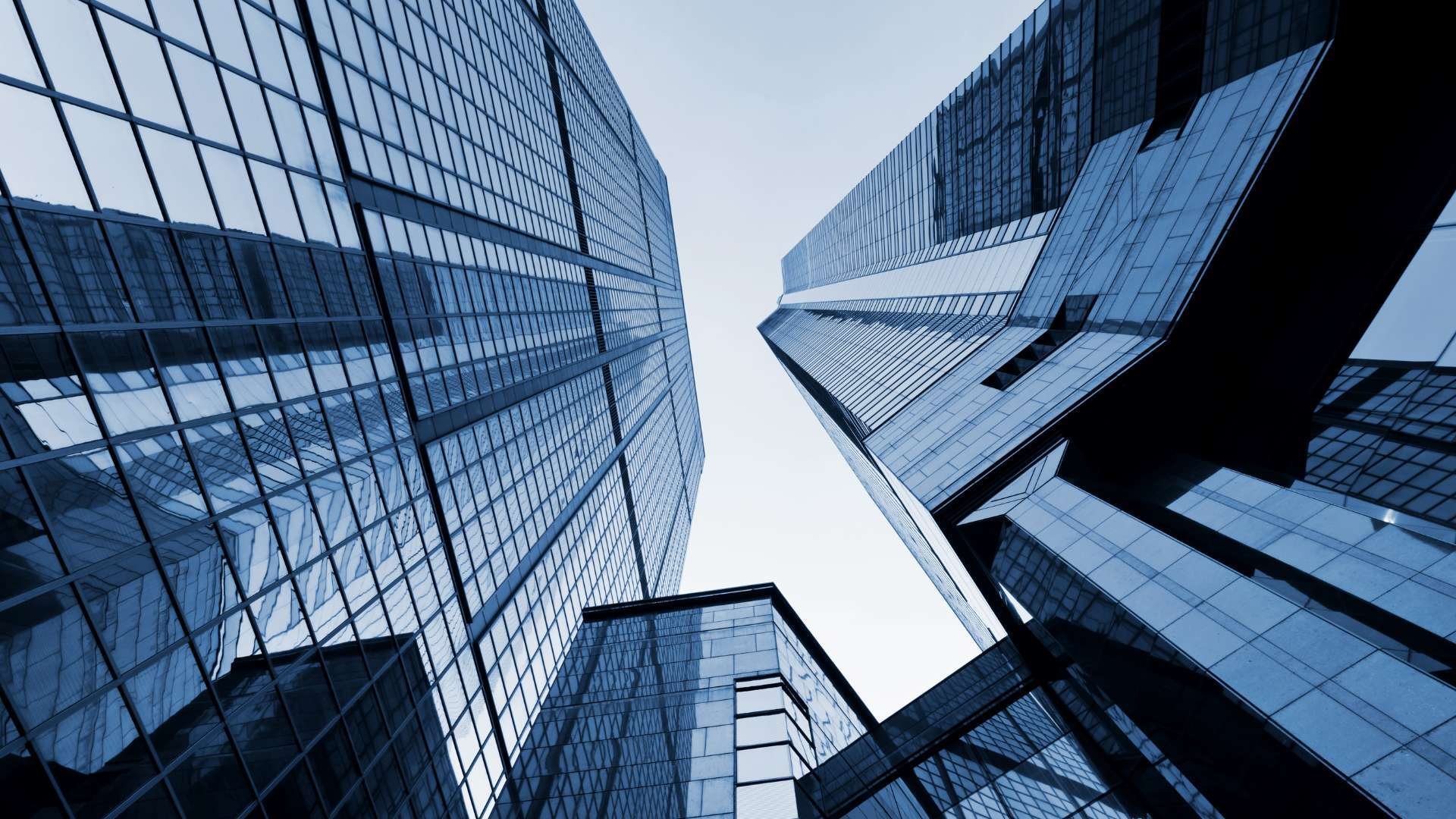 McKinsey ALICE Alliance 2