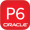 P6 logo